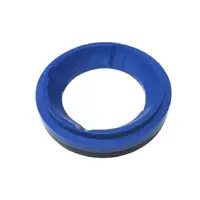 Seal ring